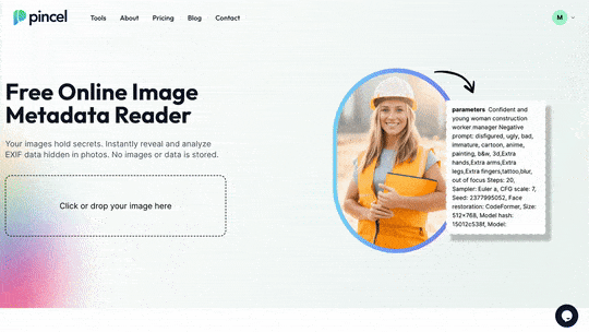How to Extract Prompts From AI Images (Image-to-Prompt) 9 Pincel AI extracts AI prompts from image